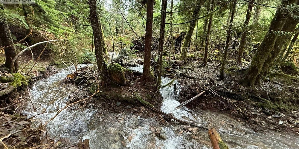 16398 16 HIGHWAY Terrace Photo 38 16398 16 HIGHWAY Terrace Photo 38